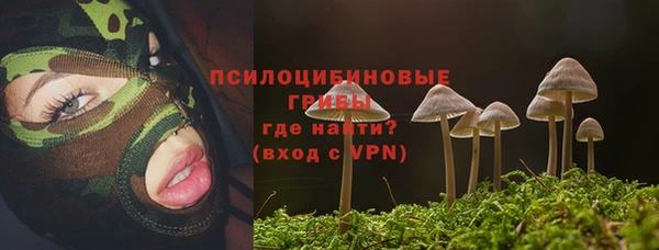 СК Нефтекумск