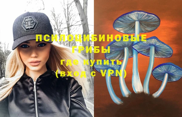 СК Нефтекумск