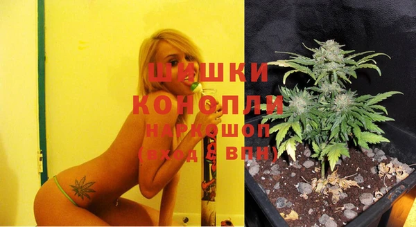 твердый Нефтегорск