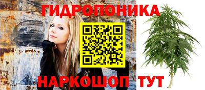 трава Берёзовский