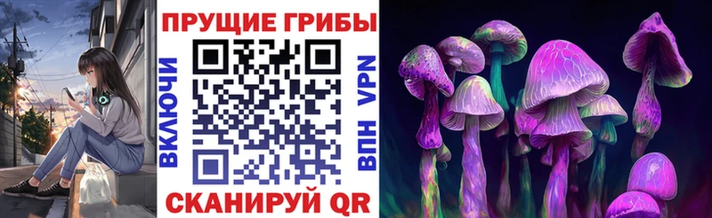 KRAKEN маркетплейс  Переславль-Залесский  Галлюциногенные грибы Psilocybe 