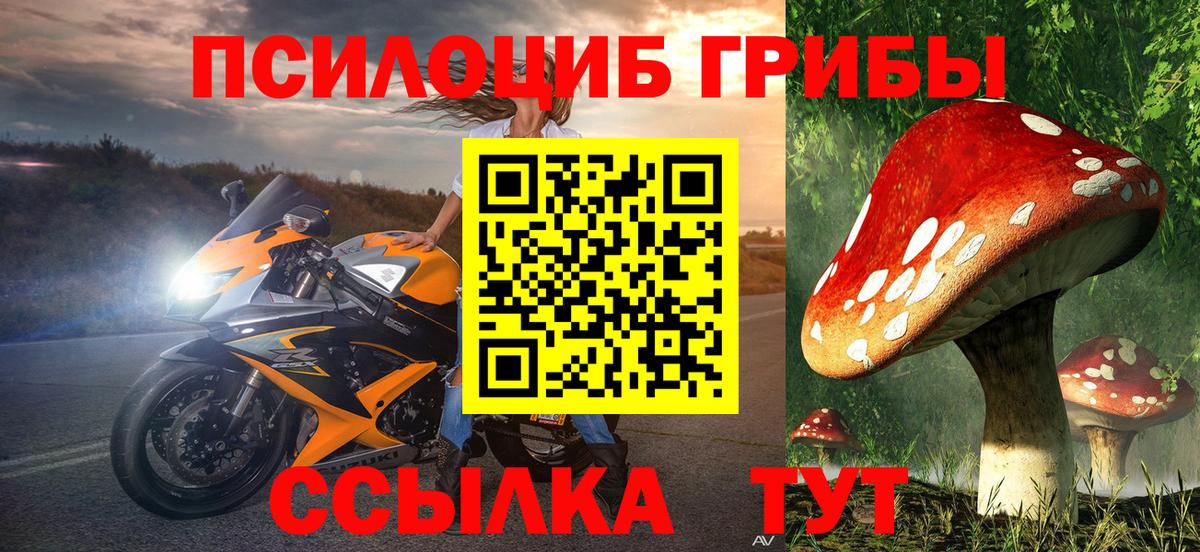 купить наркоту  Переславль-Залесский  Галлюциногенные грибы Magic Shrooms 