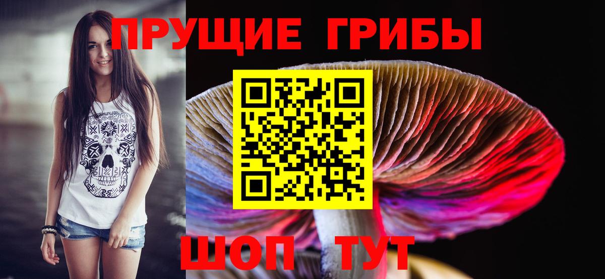 Псилоцибиновые грибы Psilocybe  где продают наркотики  Переславль-Залесский  Вход с VPN 