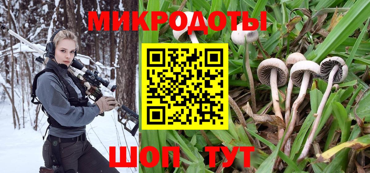 Галлюциногенные грибы GOLDEN TEACHER Переславль-Залесский